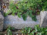 image of grave number 954139